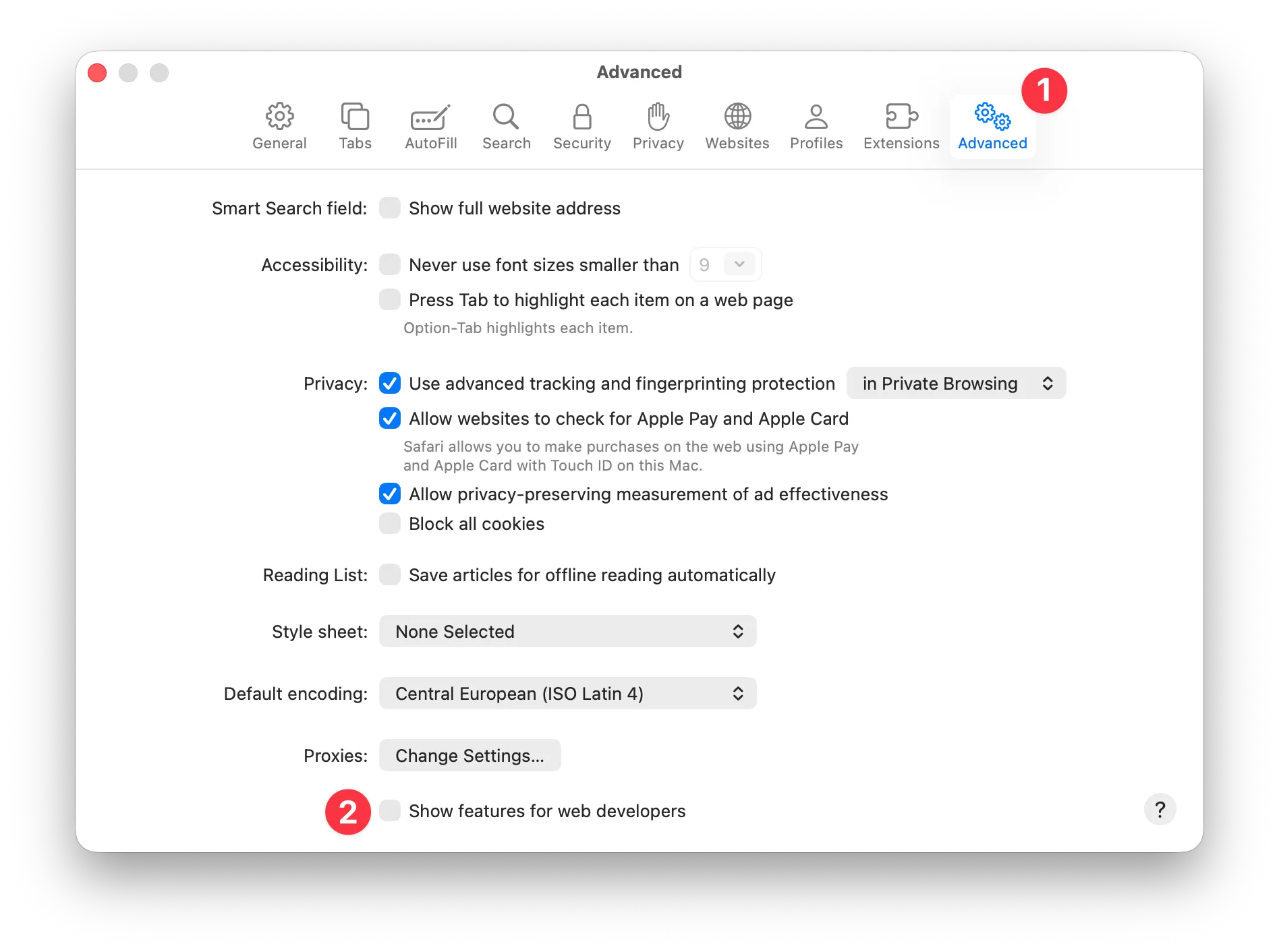 Safari Advanced Settings